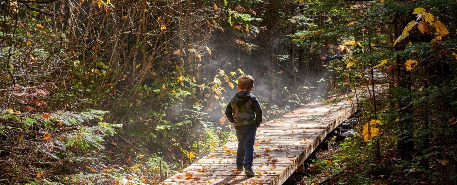 Young boy walking down a trail.
