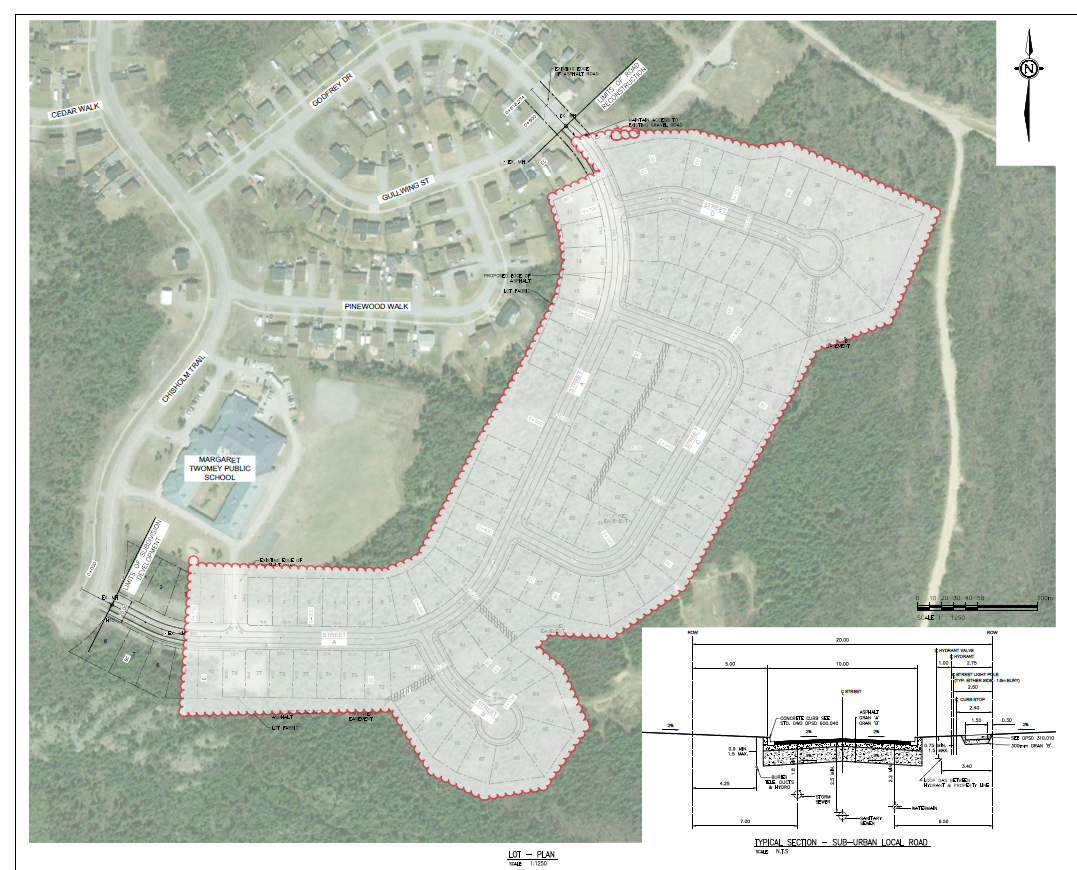 Surveyed outline of the area being cleared