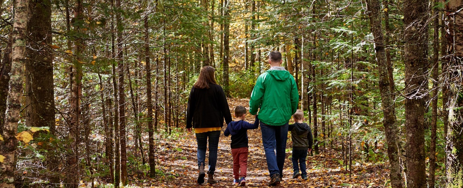 Family walking down the penn lake trail in the fall