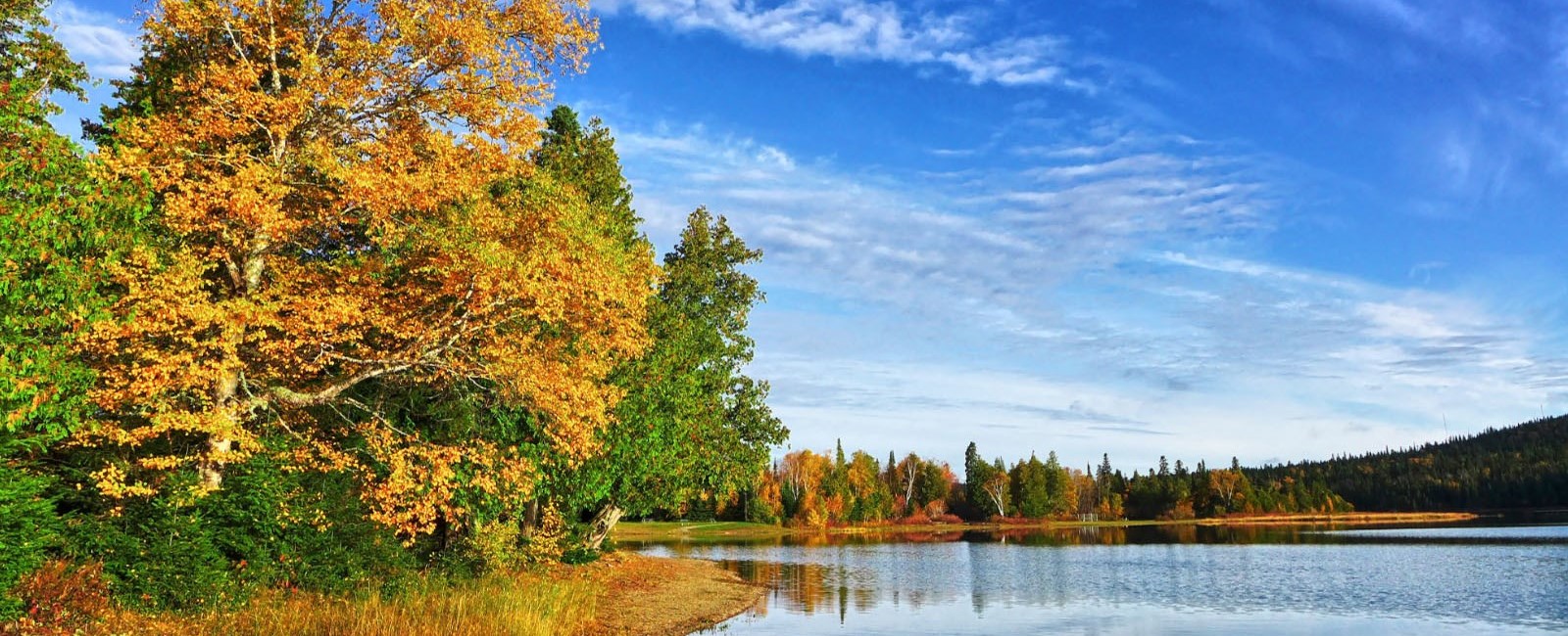 View of lake and trees